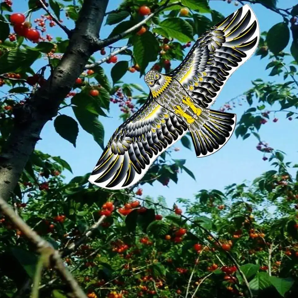 Anti Bird Flying Hawk Kite Bird Repeller Large Eagle Kites Scarecrow Decoy for Farm Garden Pest Bird Repellent Anti Bird Flying Hawk Kite Bird Repeller Large Eagle Kites Scarecrow Decoy for Farm Garden Pest Bird Repellent
