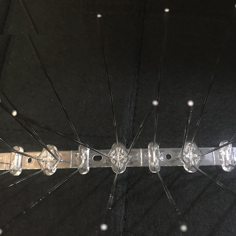 Anti Bird Spikes Stainless Steel Anti Bird Spikes Stainless Steel