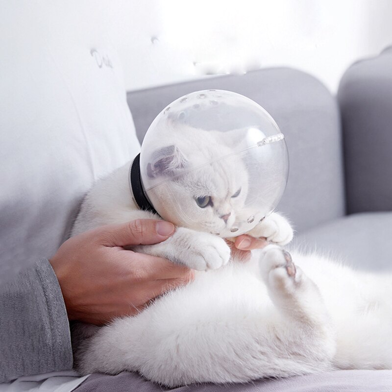 Anti Bite Cat Air Muzzle Anti Bite Cat Air Muzzle