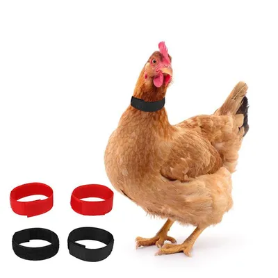 Anti Crow Chicken Collars (2pcs) Anti Crow Chicken Collars (2pcs)