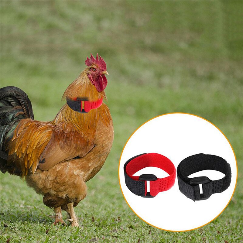 Anti Crow Chicken Collars (2pcs) Anti Crow Chicken Collars (2pcs)