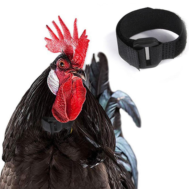 Anti Crow Chicken Collars (2pcs) Anti Crow Chicken Collars (2pcs)