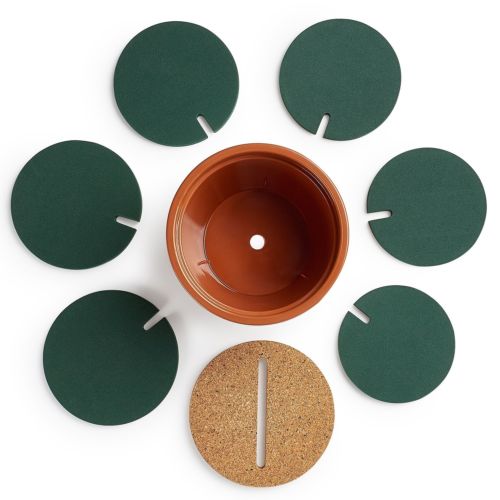 Anti Skid EVA Cactus Coaster (6pcs) Anti Skid EVA Cactus Coaster (6pcs)