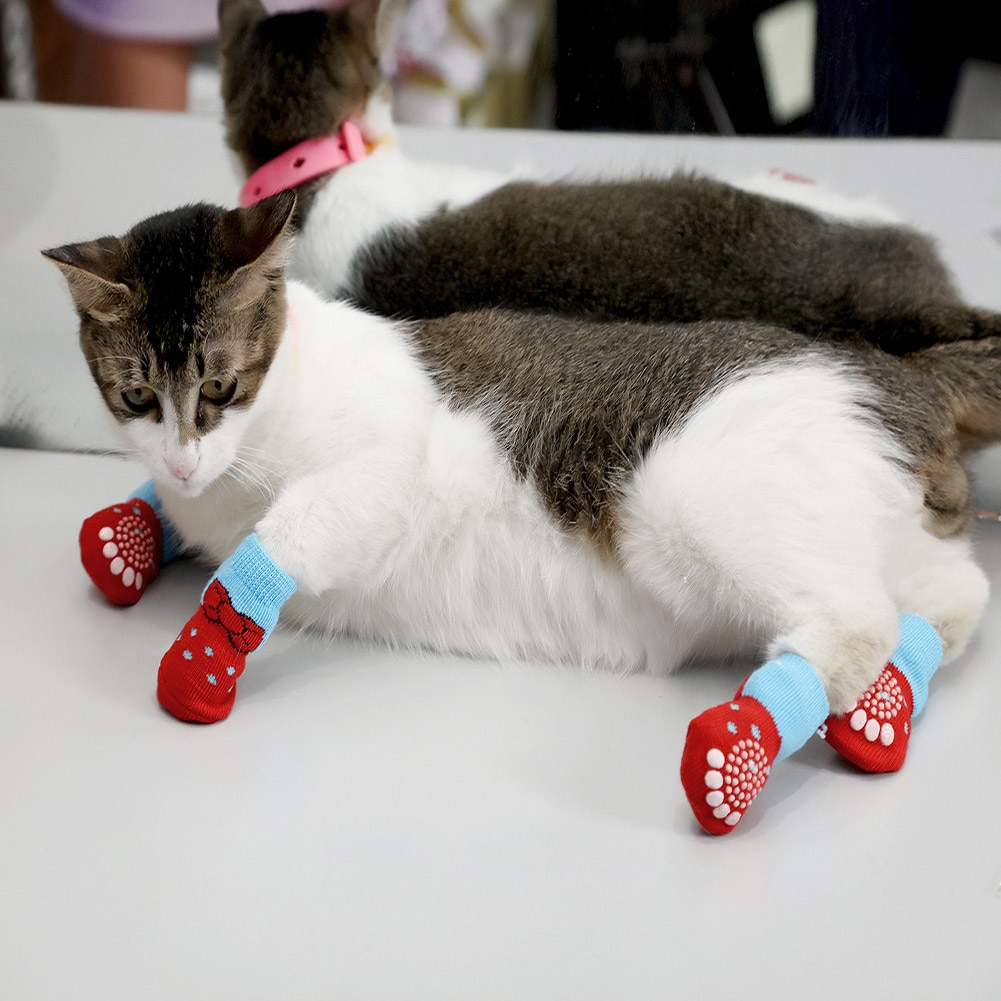 Anti Slip Dog Socks Paw Protectors (4 pcs) Anti Slip Dog Socks Paw Protectors (4 pcs)