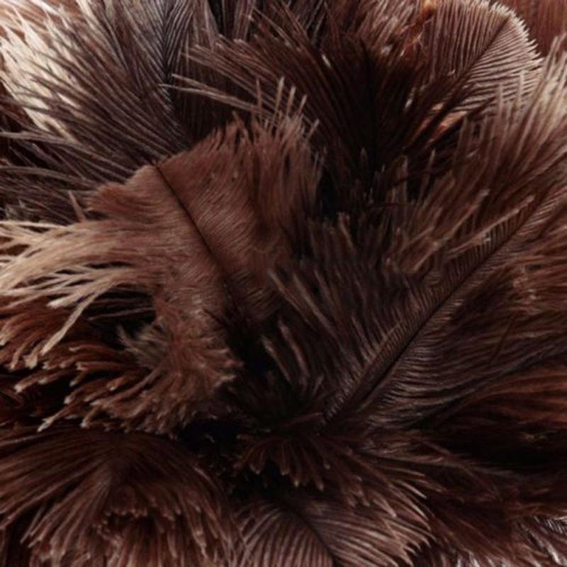 Anti Static Ostrich Feather Duster Anti Static Ostrich Feather Duster