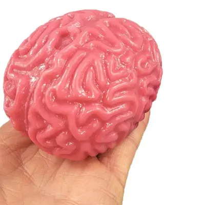 Anti Stress Flippy Brain Squishy Squeeze Fidget Toy Cool Stuff Kids ADHD Autism Anxiety Relief Toy Weird Stuff Anti Stress Flippy Brain Squishy Squeeze Fidget Toy Cool Stuff Kids ADHD Autism Anxiety Relief Toy Weird Stuff