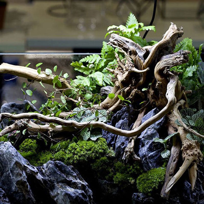 Aquarium Driftwood Fish Tank Decorative Aquarium Driftwood Fish Tank Decorative