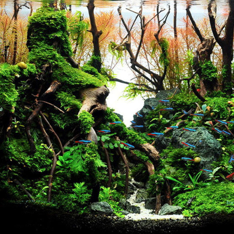 Aquarium Driftwood Fish Tank Decorative Aquarium Driftwood Fish Tank Decorative