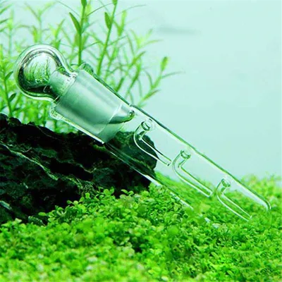 Aquarium Transparent Glass Planaria Trap Aquarium Transparent Glass Planaria Trap