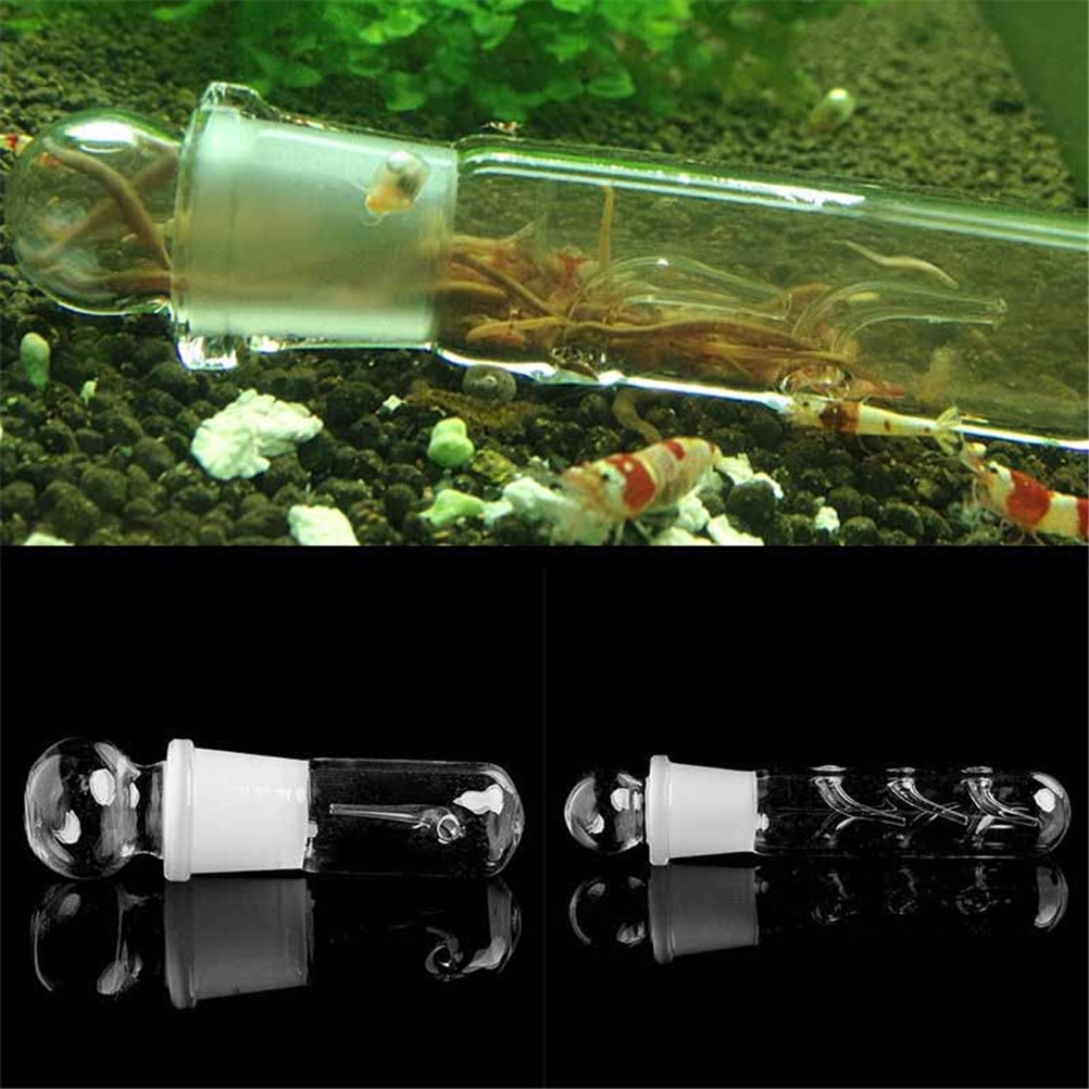 Aquarium Transparent Glass Planaria Trap Aquarium Transparent Glass Planaria Trap
