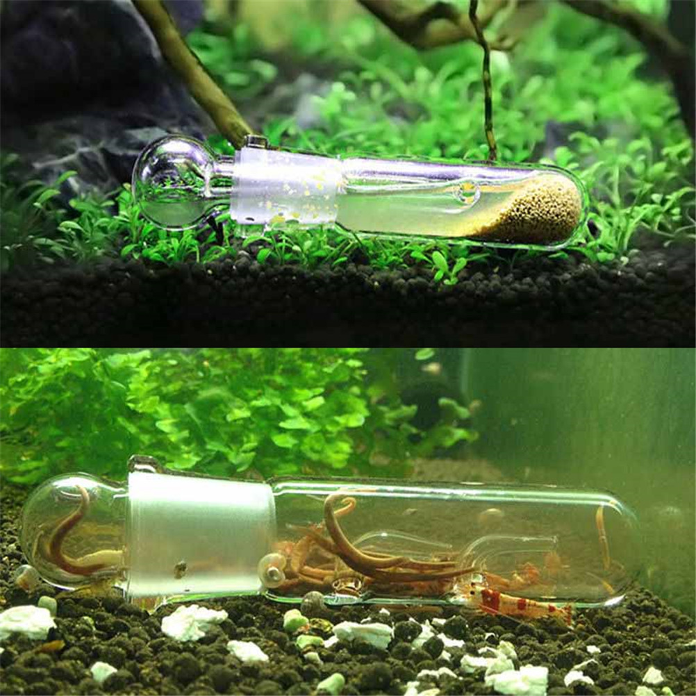 Aquarium Transparent Glass Planaria Trap Aquarium Transparent Glass Planaria Trap