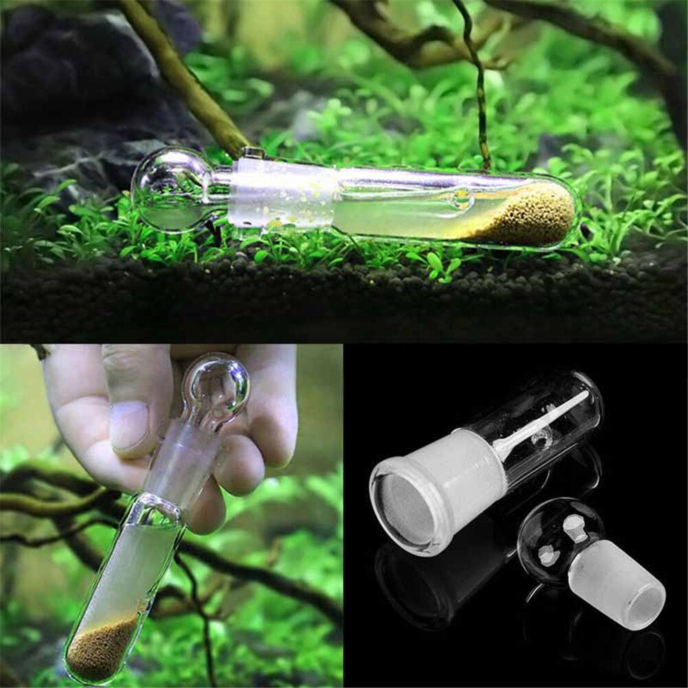 Aquarium Transparent Glass Planaria Trap Aquarium Transparent Glass Planaria Trap