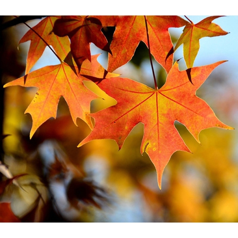 Artificial Autumn Leaves Garland