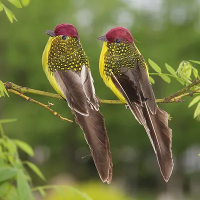 Artificial Bird for Decoration Artificial Bird for Decoration