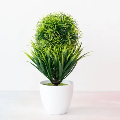 Artificial Bonsai Tree Indoor Decoration Artificial Bonsai Tree Indoor Decoration