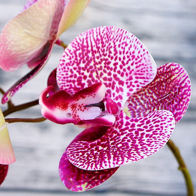Artificial Orchids Flower Decorations Artificial Orchids Flower Decorations