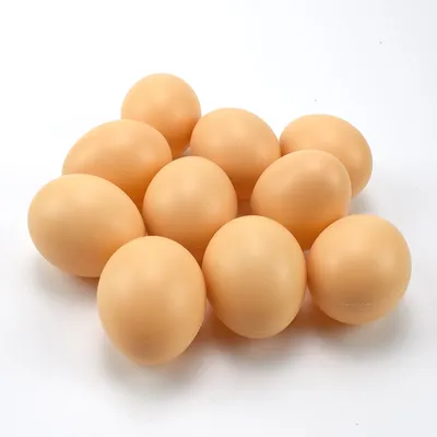 Arts and Crafts Fake Chicken Eggs (10 pcs)