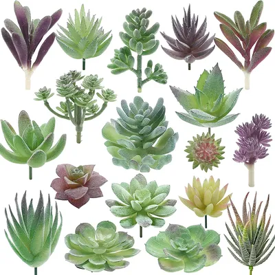 Assorted Artificial Succulent Plants (18pcs) Assorted Artificial Succulent Plants (18pcs)
