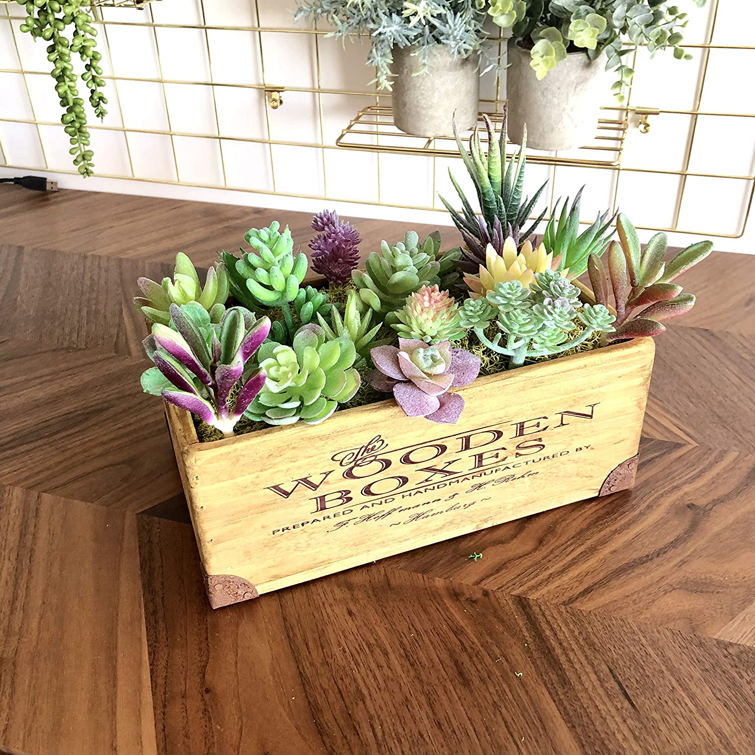 Assorted Artificial Succulent Plants (18pcs) Assorted Artificial Succulent Plants (18pcs)