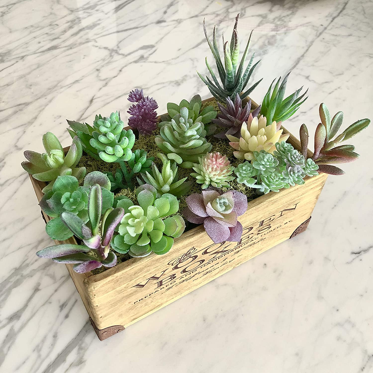 Assorted Artificial Succulent Plants (18pcs) Assorted Artificial Succulent Plants (18pcs)