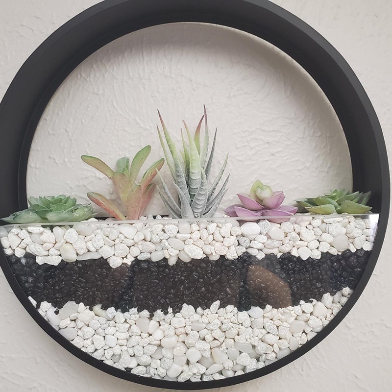 Assorted Artificial Succulent Plants (18pcs) Assorted Artificial Succulent Plants (18pcs)
