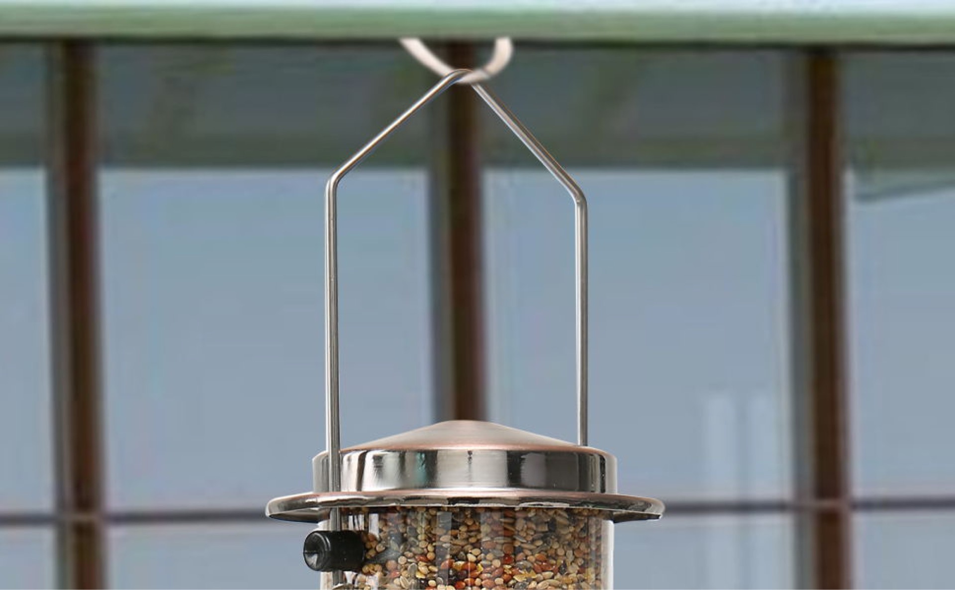 Automatic Bird Feeder for Cage