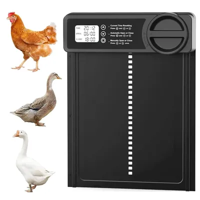 Automatic Chicken Coop Door Intelligent Timer Electric Aluminum Timing Opener Auto Chicken Door Farm Automatic Automatic Chicken Coop Door Intelligent Timer Electric Aluminum Timing Opener Auto Chicken Door Farm Automatic