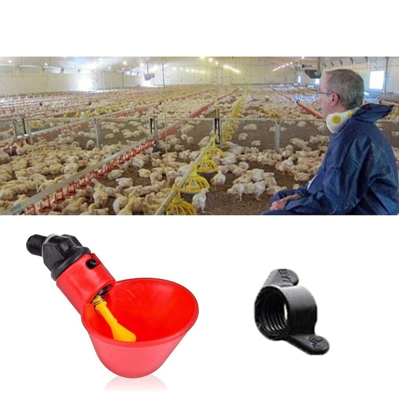 Automatic Chicken Drinking Cups (24Pcs)
