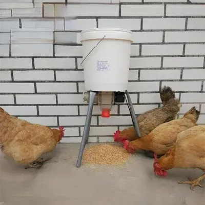 Automatic Chicken Feeder Pigeon Chicken Duck Carrier Pigeon Trough Intellegent Timing Automatic Chicken Feeder Pigeon Automatic Chicken Feeder Pigeon Chicken Duck Carrier Pigeon Trough Intellegent Timing Automatic Chicken Feeder Pigeon