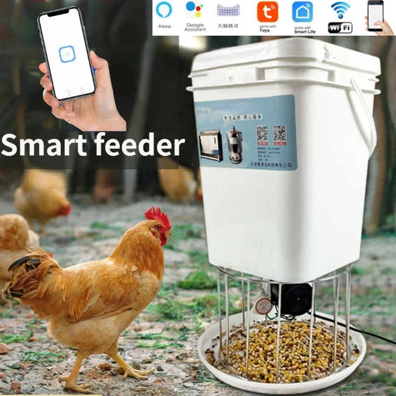 Automatic Chicken Feeder Pigeon Chicken Duck Carrier Pigeon Trough Intellegent Timing Automatic Chicken Feeder Pigeon Automatic Chicken Feeder Pigeon Chicken Duck Carrier Pigeon Trough Intellegent Timing Automatic Chicken Feeder Pigeon