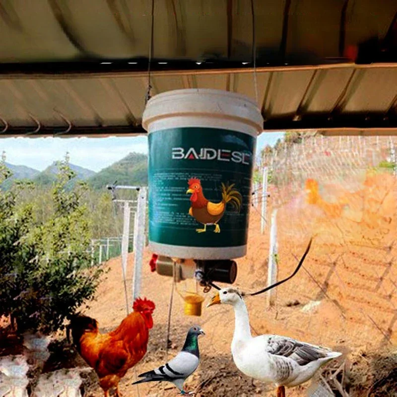Automatic Chicken Feeder Pigeon Chicken Duck Carrier Pigeon Trough Intellegent Timing Automatic Chicken Feeder Pigeon Automatic Chicken Feeder Pigeon Chicken Duck Carrier Pigeon Trough Intellegent Timing Automatic Chicken Feeder Pigeon