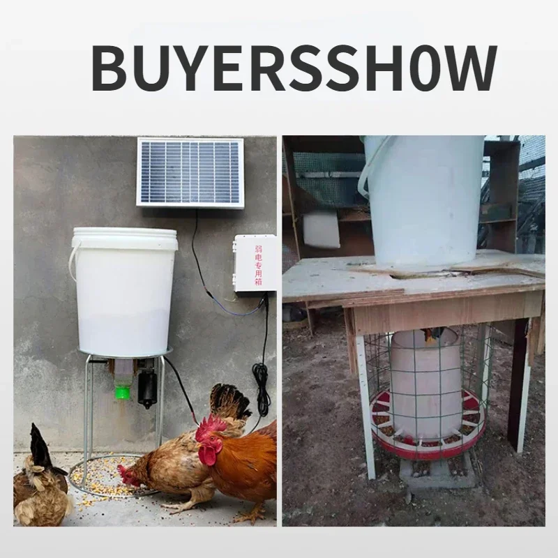 Automatic Chicken Feeder Pigeon Chicken Duck Carrier Pigeon Trough Intellegent Timing Automatic Chicken Feeder Pigeon Automatic Chicken Feeder Pigeon Chicken Duck Carrier Pigeon Trough Intellegent Timing Automatic Chicken Feeder Pigeon