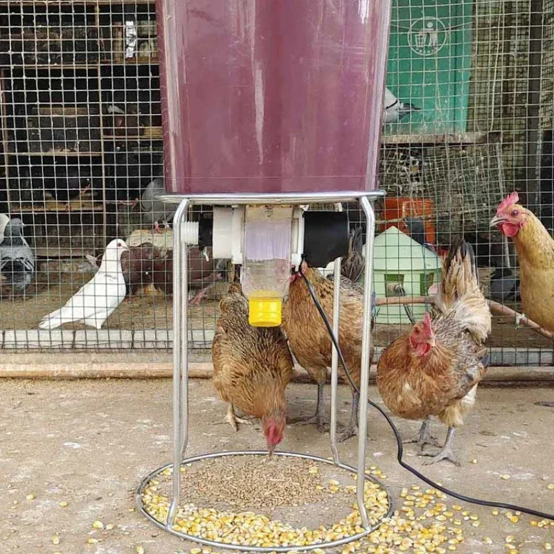 Automatic Chicken Feeder Pigeon Chicken Duck Carrier Pigeon Trough Intellegent Timing Automatic Chicken Feeder Pigeon Automatic Chicken Feeder Pigeon Chicken Duck Carrier Pigeon Trough Intellegent Timing Automatic Chicken Feeder Pigeon