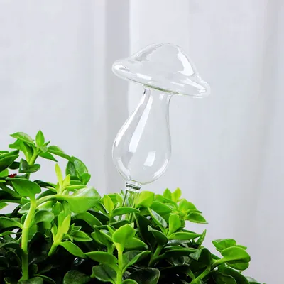 Automatic Glass Plant Waterer Automatic Glass Plant Waterer
