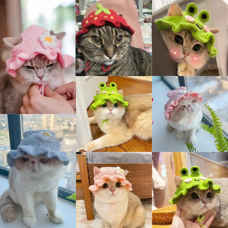 Autumn Winter Cat Hat Elastic Cute Refined Pet Hat Puppy Kittens Knitted Hat Party Photo Shoot Props Decoration Cat Autumn Winter Cat Hat Elastic Cute Refined Pet Hat Puppy Kittens Knitted Hat Party Photo Shoot Props Decoration Cat