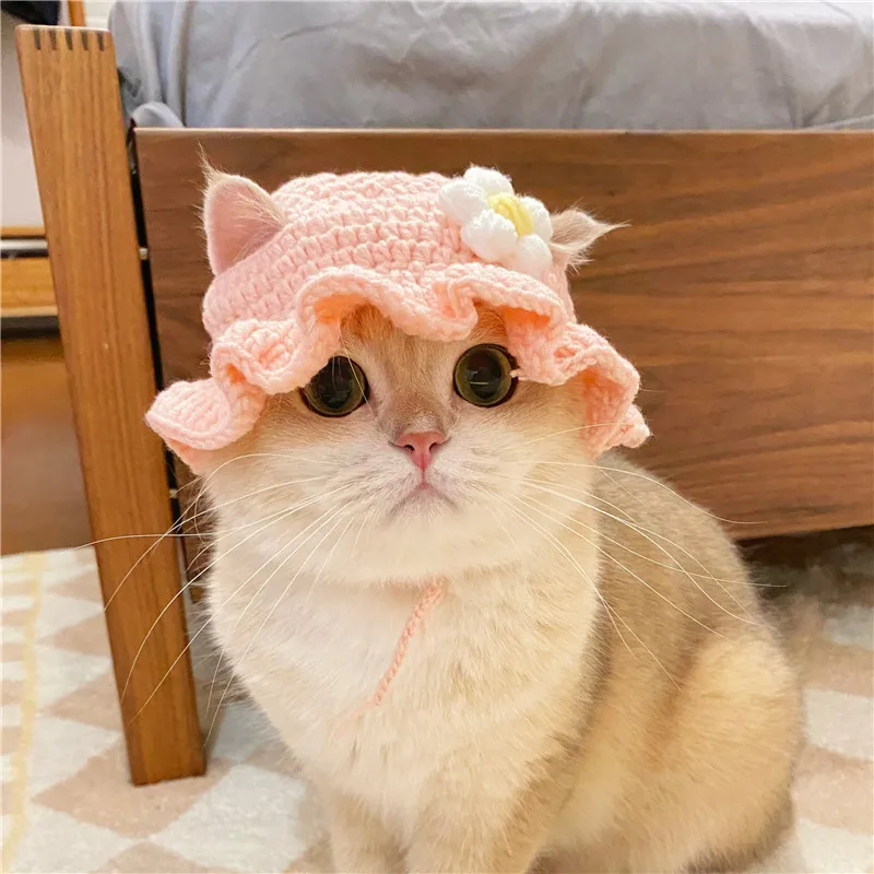Autumn Winter Cat Hat Elastic Cute Refined Pet Hat Puppy Kittens Knitted Hat Party Photo Shoot Props Decoration Cat Autumn Winter Cat Hat Elastic Cute Refined Pet Hat Puppy Kittens Knitted Hat Party Photo Shoot Props Decoration Cat