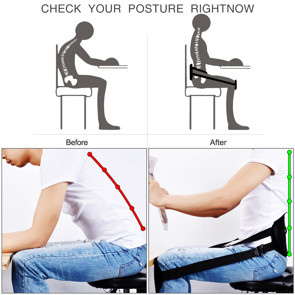 Back Support Belt Waist Protector Back Support Belt Waist Protector