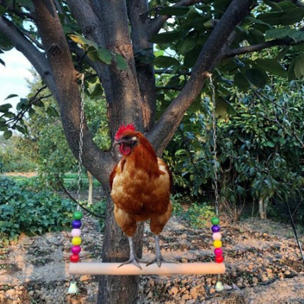 Balance Chicken Swing Balance Chicken Swing