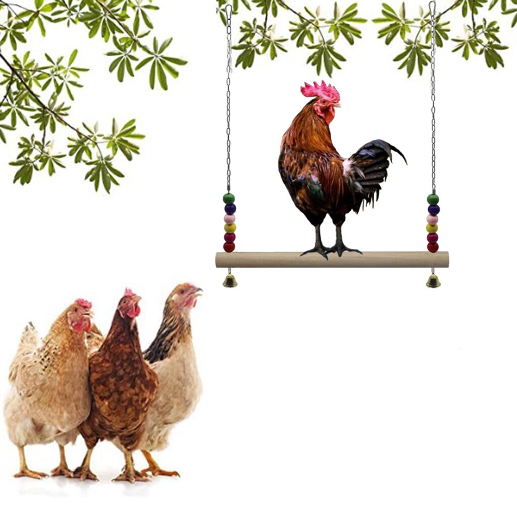 Balance Chicken Swing Balance Chicken Swing