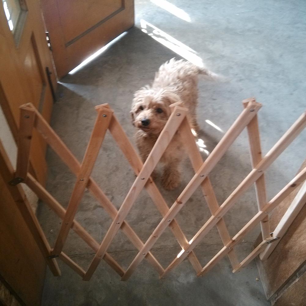 Bamboo Expandable and Foldable Dog Gate Bamboo Expandable and Foldable Dog Gate