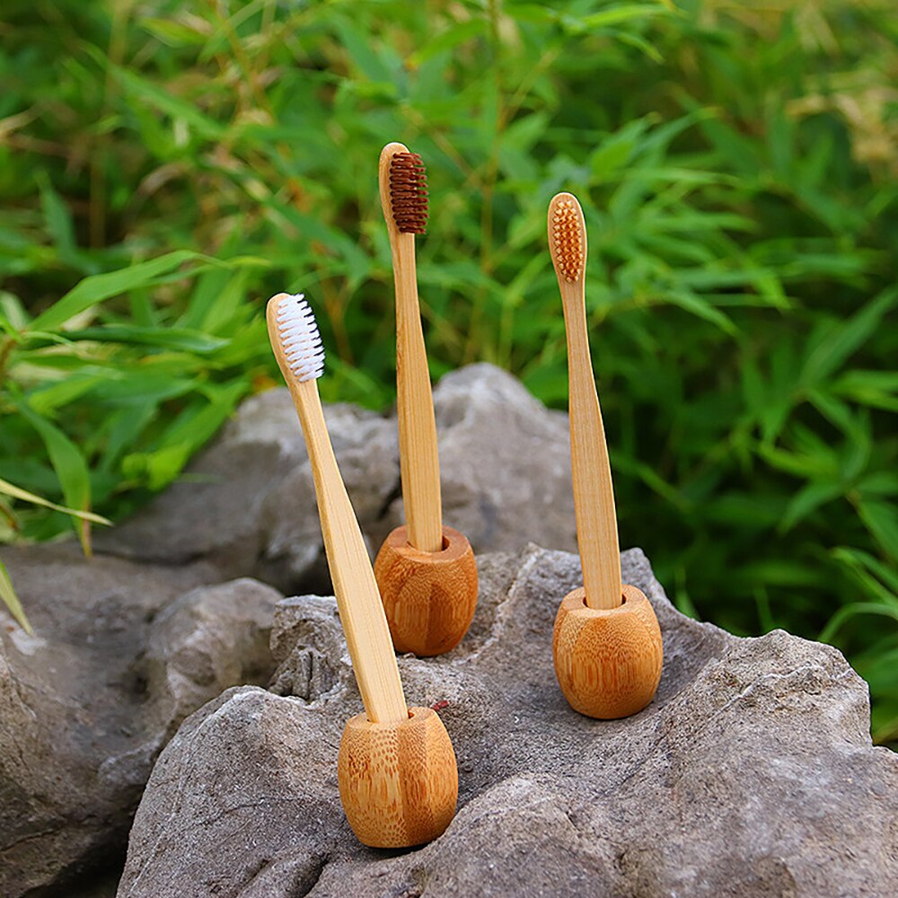 Bamboo Wooden Toothbrush Holder