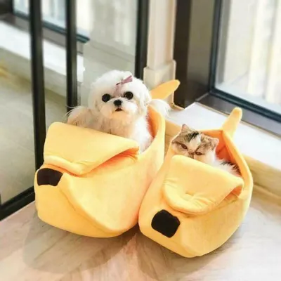 Banana Cat Bed House Funny Cute Cozy Cat Mat Beds Warm Durable Portable Pet Basket Kennel Dog Cushion Cat Supplies Banana Cat Bed House Funny Cute Cozy Cat Mat Beds Warm Durable Portable Pet Basket Kennel Dog Cushion Cat Supplies