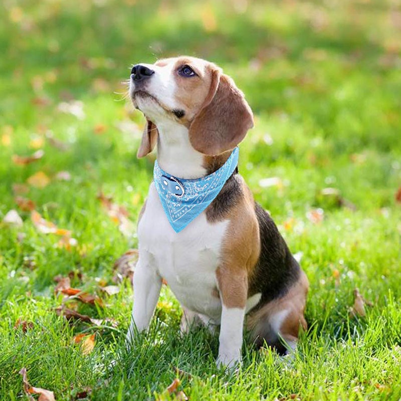 Bandana Collar Dog Scarf Accessory Bandana Collar Dog Scarf Accessory