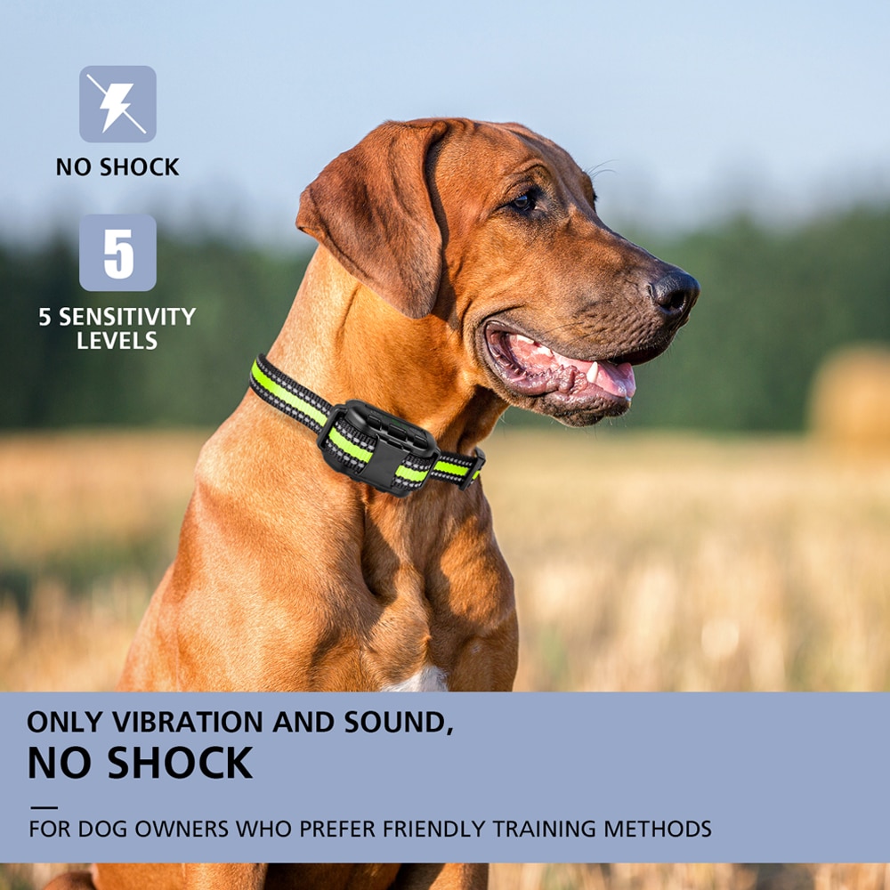 Barking Control Collar Training Dog Accessory Barking Control Collar Training Dog Accessory