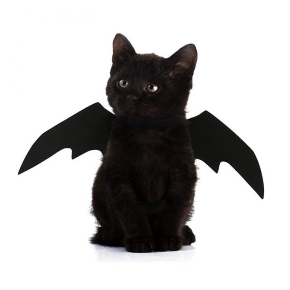 Bat Costume for Cat Pet Halloween Outfit Bat Costume for Cat Pet Halloween Outfit