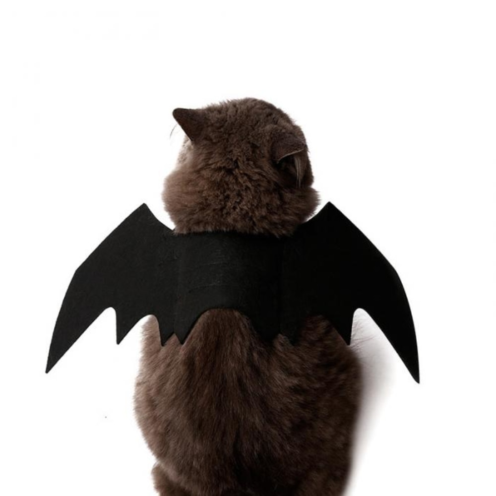 Bat Costume for Cat Pet Halloween Outfit