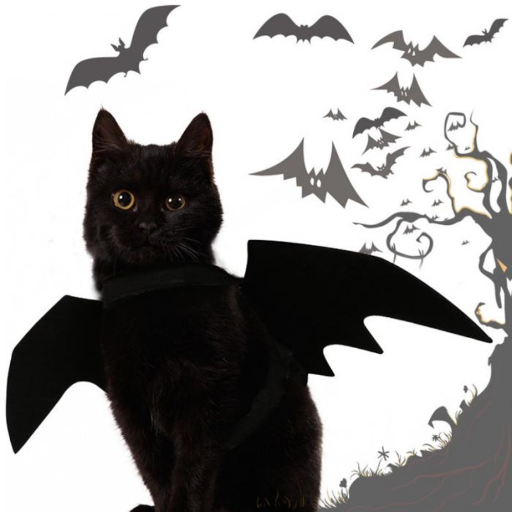Bat Costume for Cat Pet Halloween Outfit