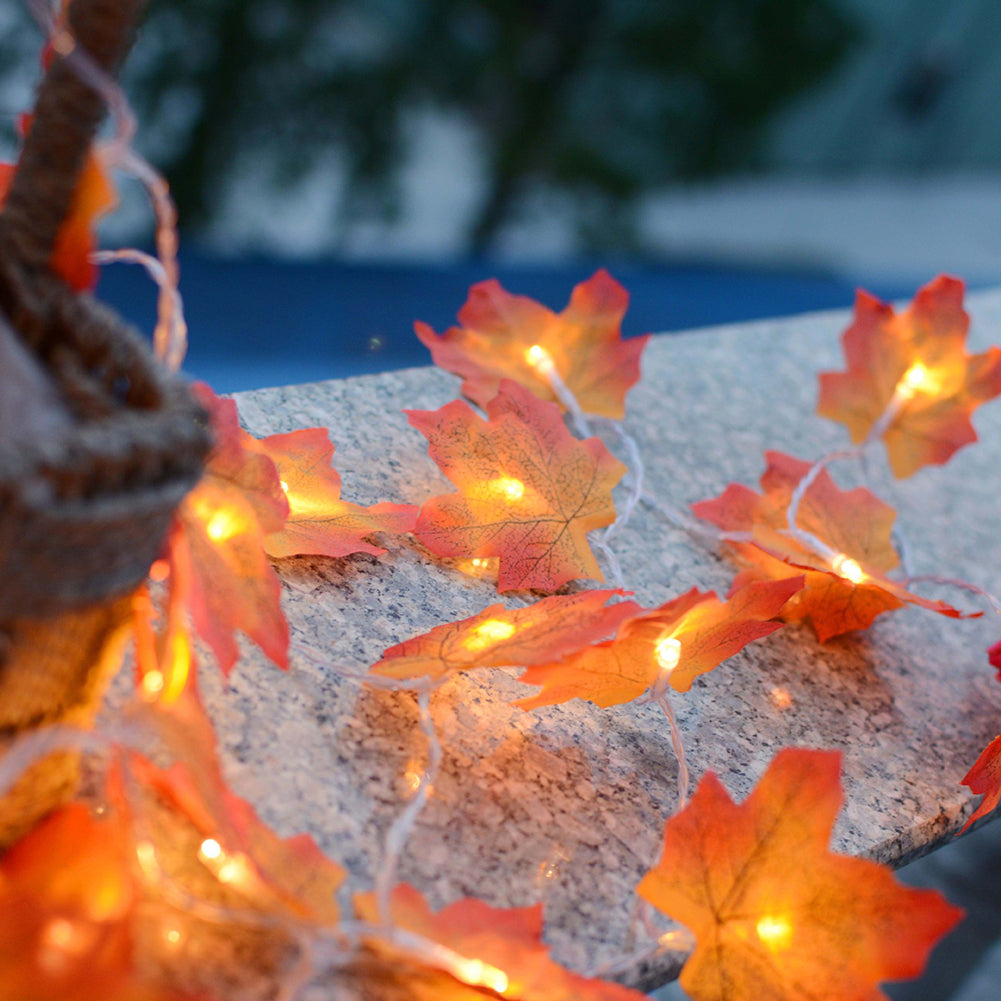 Battery Powered Maple Leaf Lights Battery Powered Maple Leaf Lights