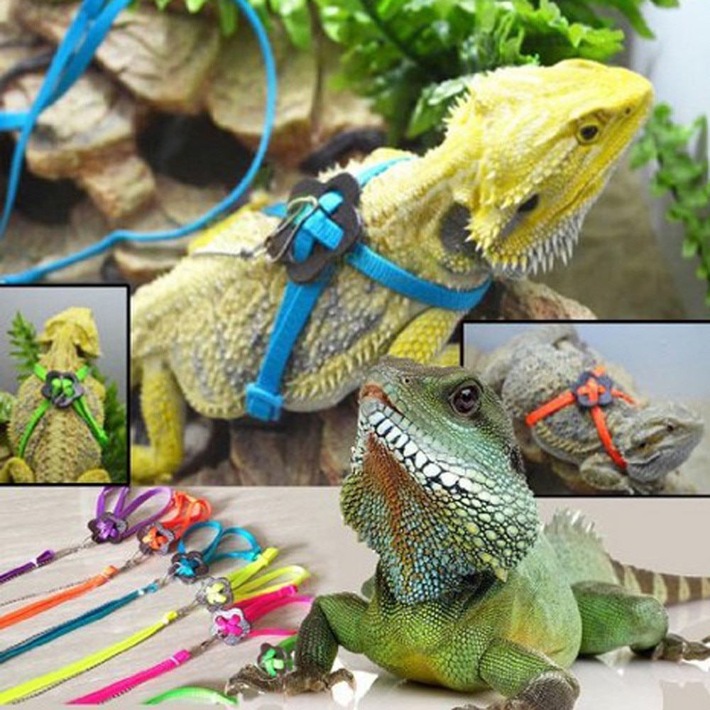 Bearded Dragon Harness Adjustable Leash Bearded Dragon Harness Adjustable Leash