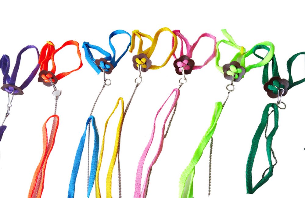 Bearded Dragon Harness Adjustable Leash Bearded Dragon Harness Adjustable Leash